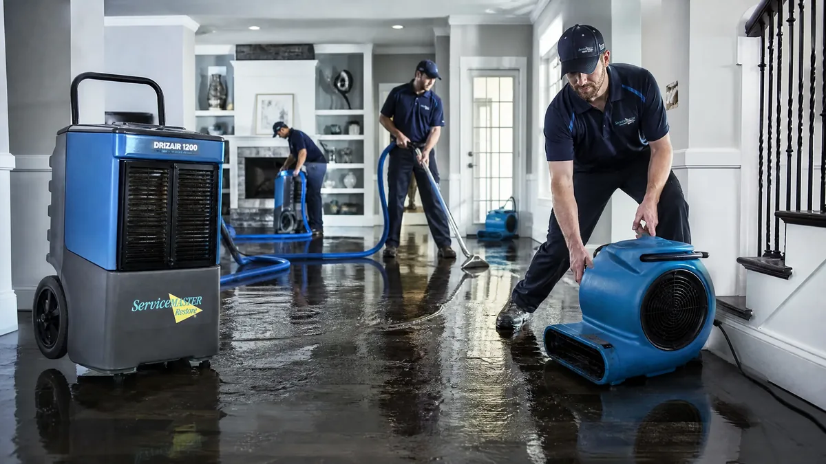Water Damage Restoration: Emergency Services for Alberta Homeowners